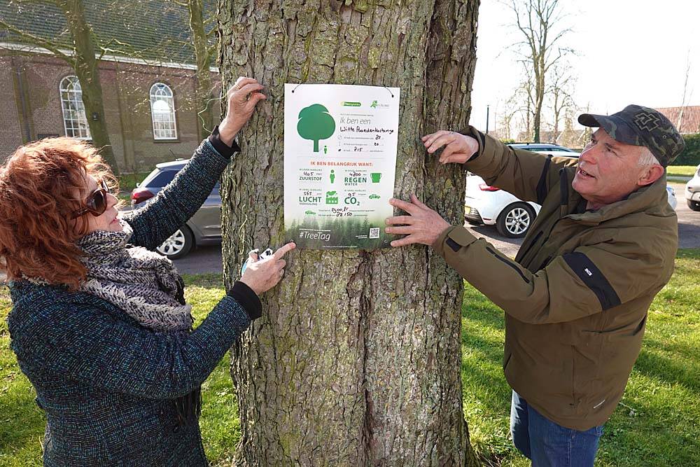 Rosa van Tricht (l) en André Tanis hangen de TreeTags om de stam van de kastanjeboom
