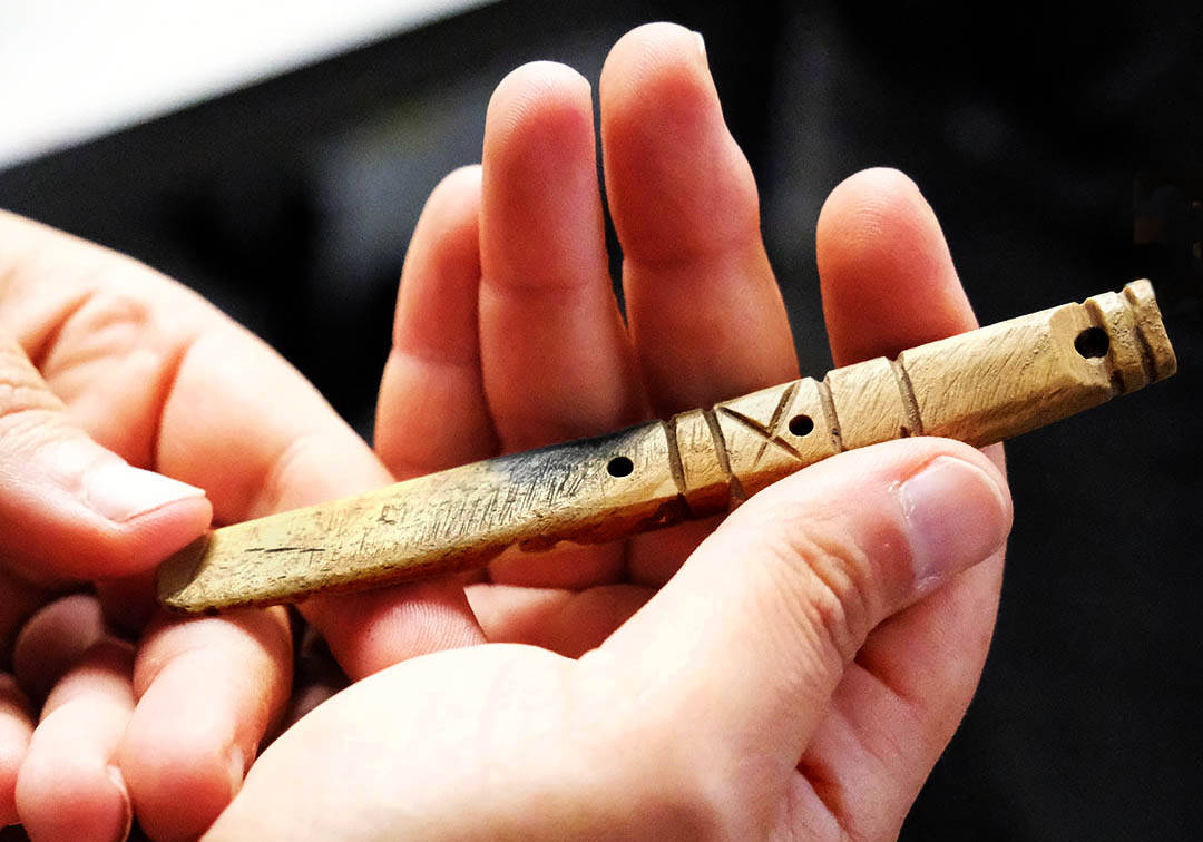 Rinkelbel, fluitje en rammelaar ineen, gemaakt van dierlijk bot, uit de zeventiende eeuw, gevonden in de terp van Akkrum.