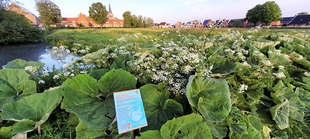 240512 Akkrum GroeneRoute Welgelegen 1000