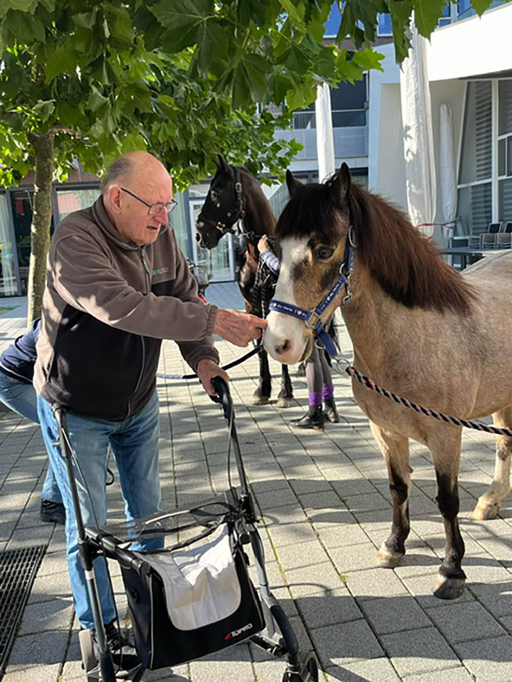 241004 Akkrum Leppehiem BertusKluversontmoetWelshponySaffier