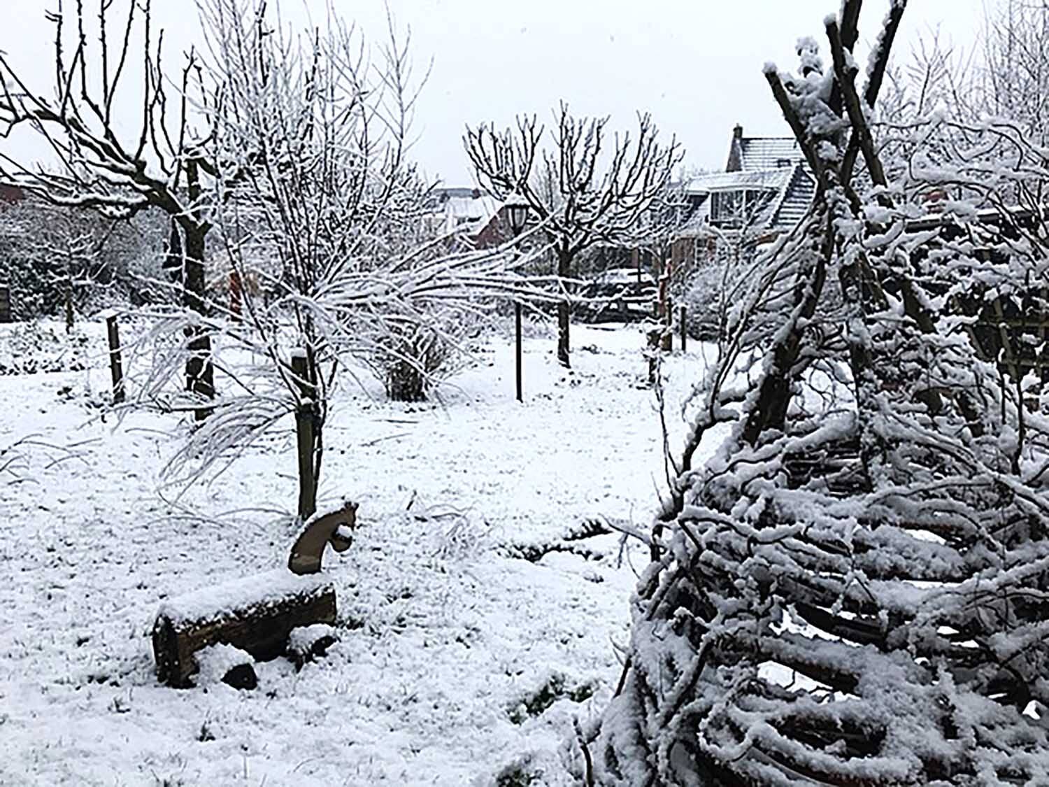 250212 Akkrum winter sneeuw Lantearnetun c ReinHuitema