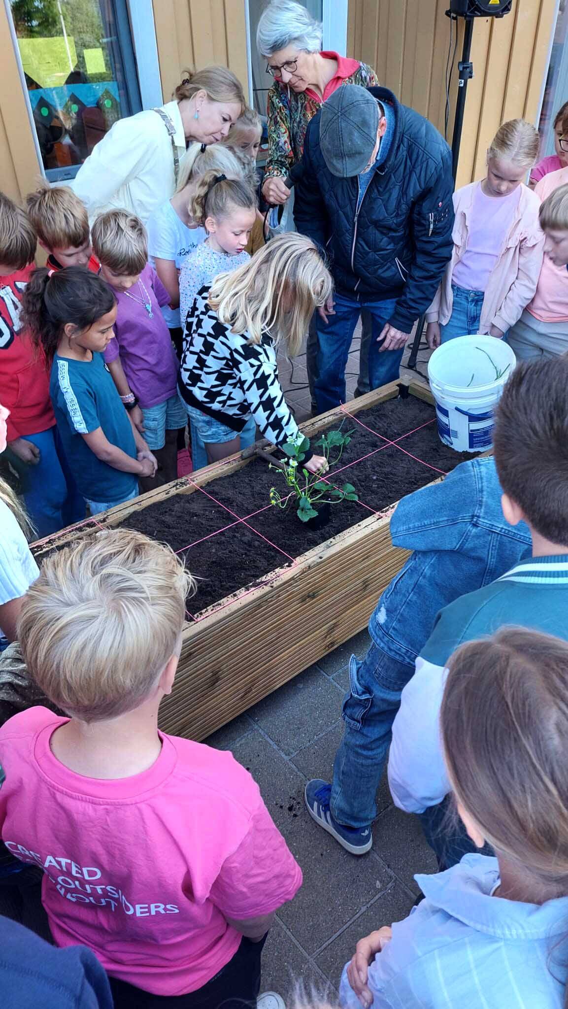 250515 Akkrum moestuin 3 c DsHasperschool
