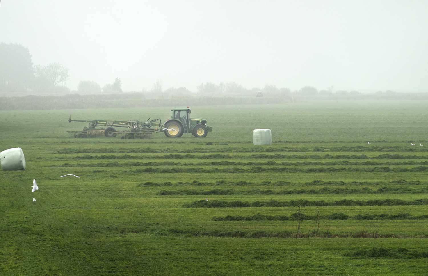 25110752 Akkrum laatste snede gras in november