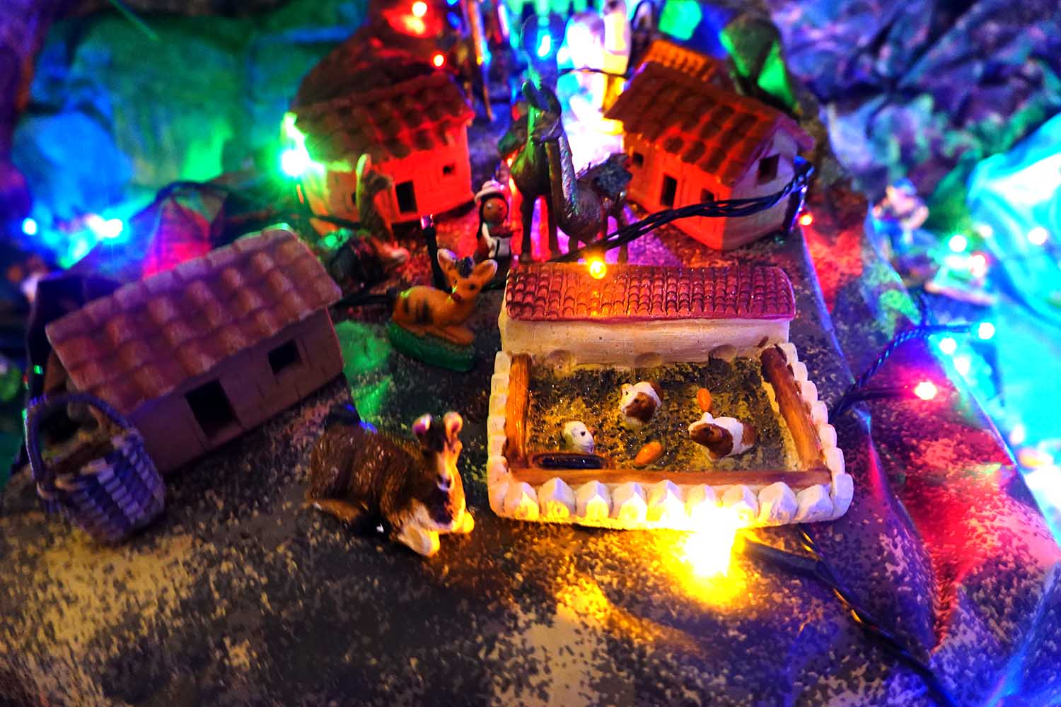 251201 Akkrum PeruaanseKerstwereld 16 1500