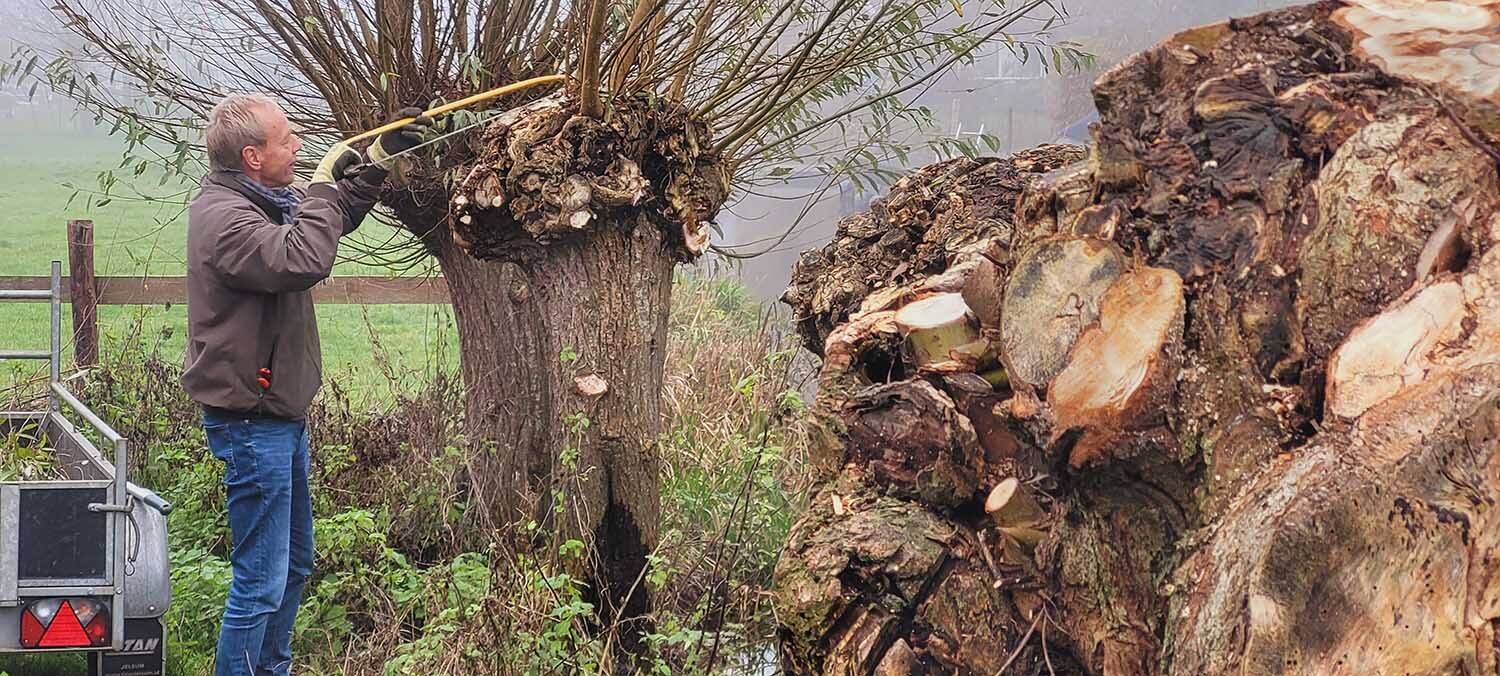 251205 Akkrum Krompaed knotten wilgen JanAtema 2 1500