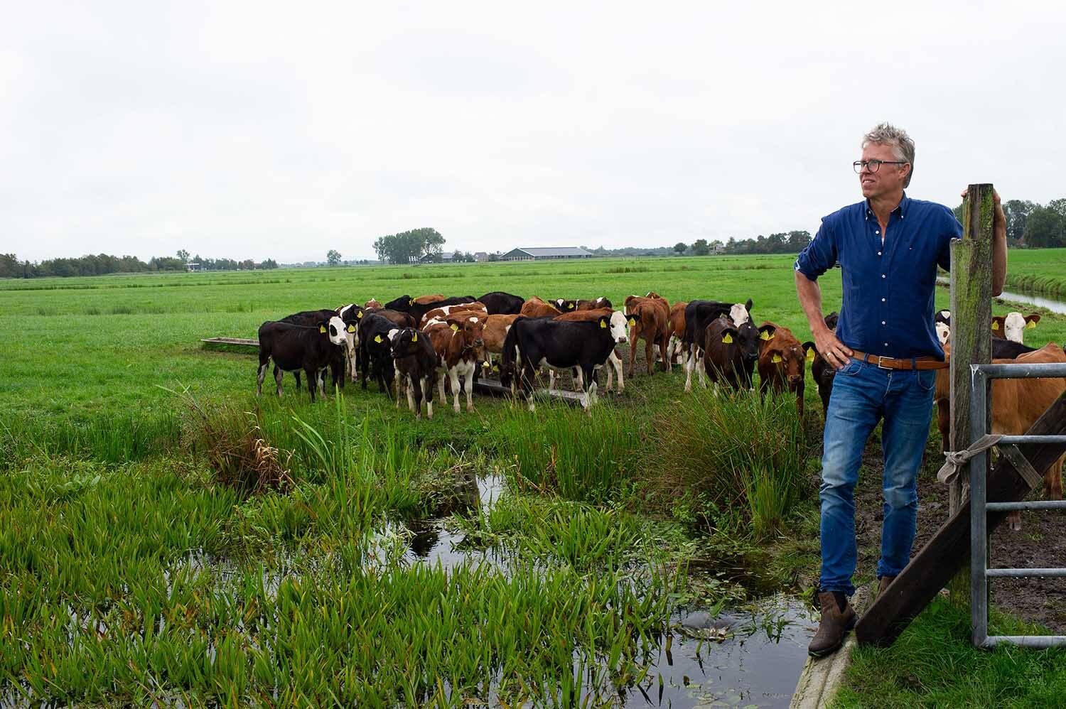 250601 Akkrum Bloeiweek SjoerdMiedema