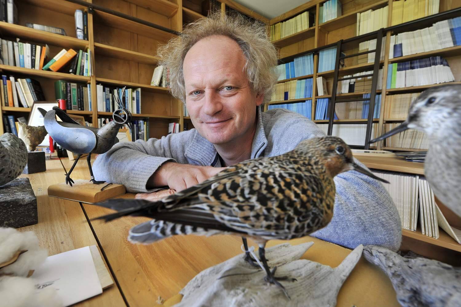 Trekvogelprofessor Theunis Piersma vertelt over zwaluwen in Swellenêst