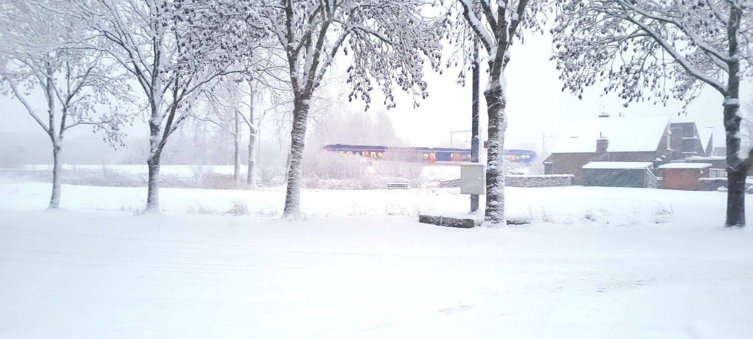 260105 Akkrum trein 1500