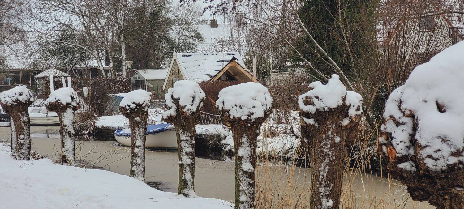 260110 sneeuw Boerepaed besneeuwdeknotwilgen 1500
