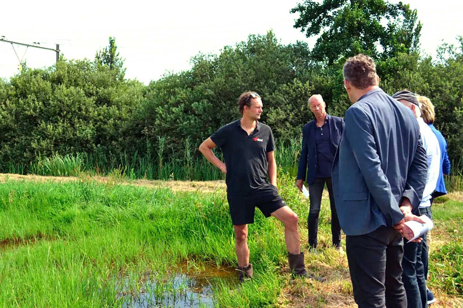 Akkrumer Goedland: lisdodde voor isolatie in woningbouw