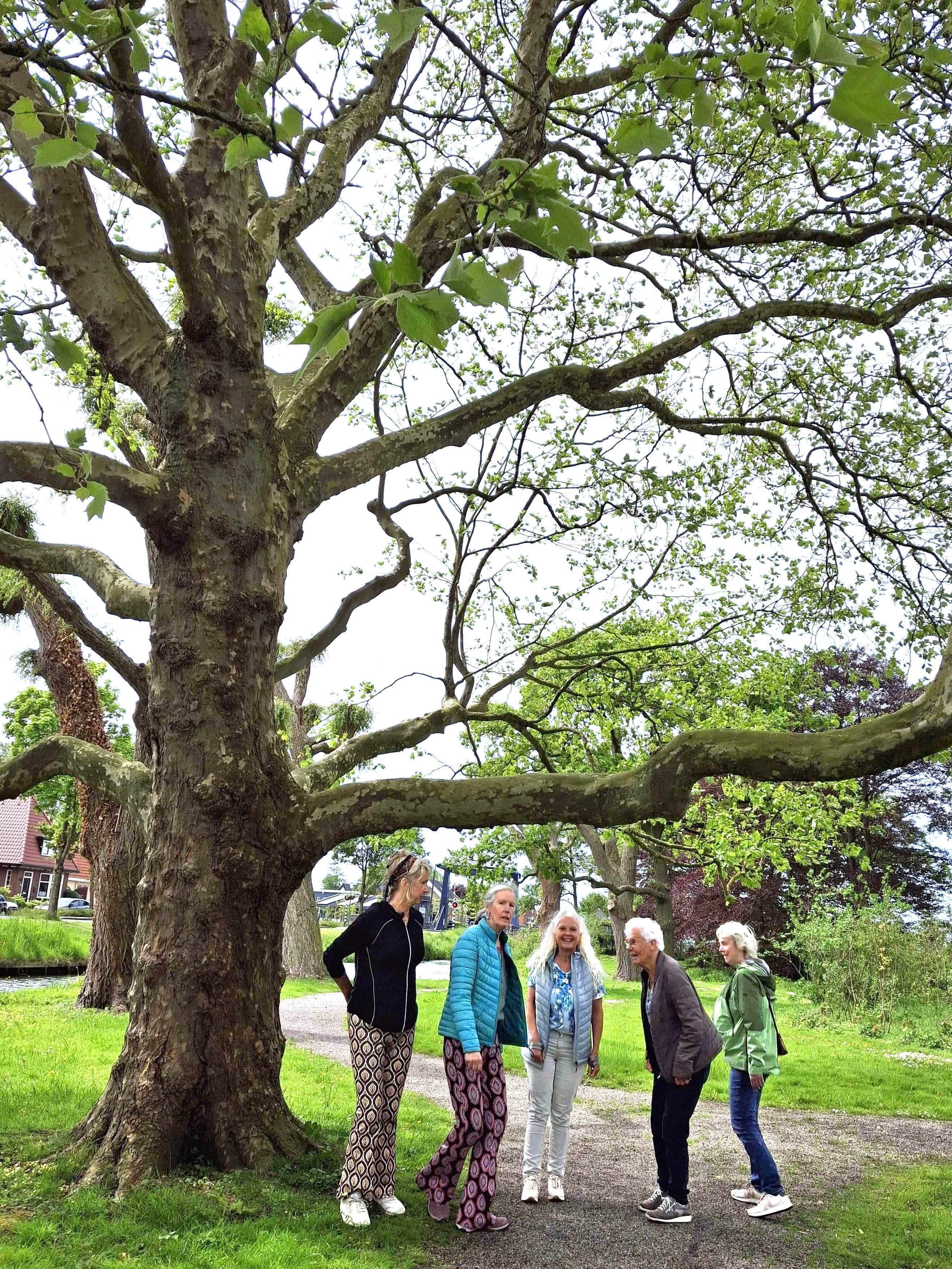 260523 Akkrum Bloeiweek WandelingdoorAkkrum