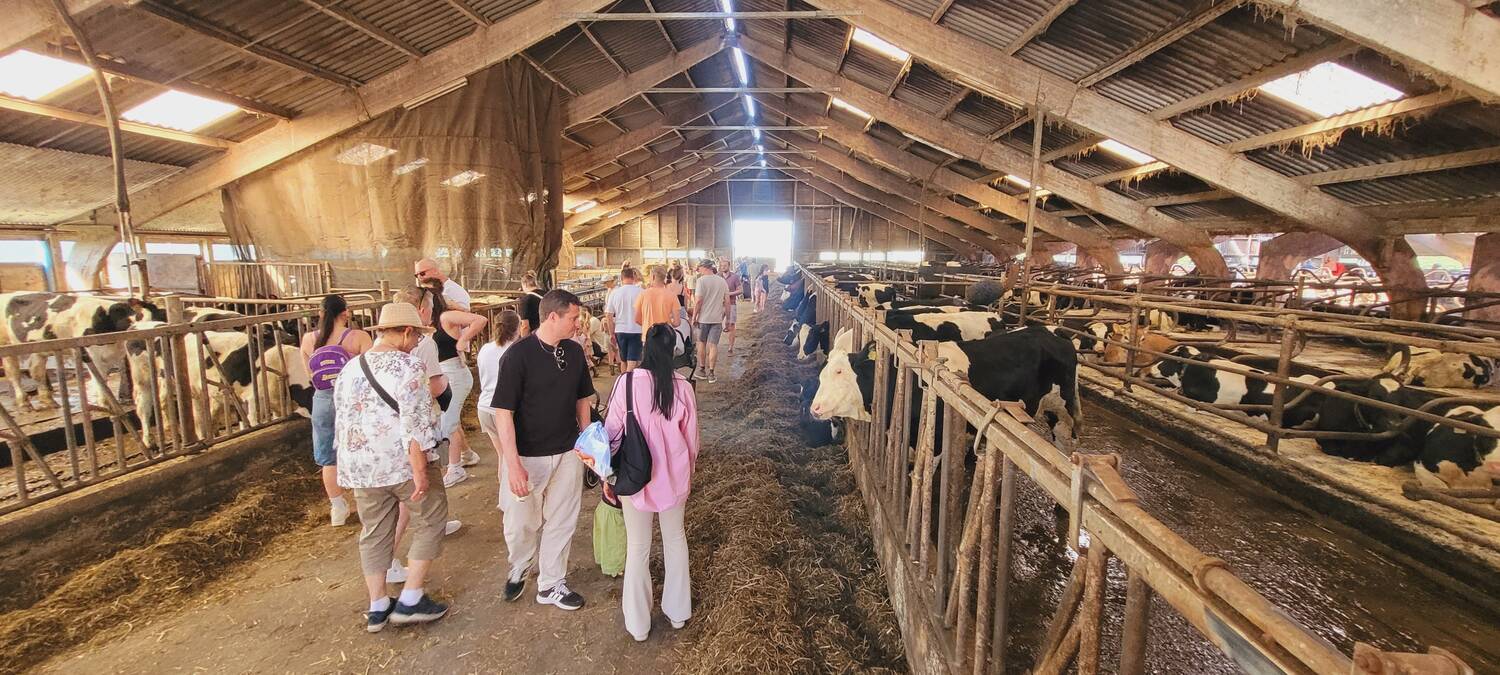 260525_260525_Akkrum_Boerendag-stalA