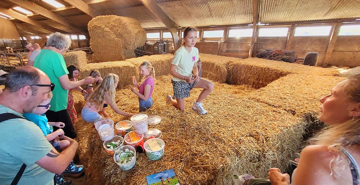260525 Akkrum Campina boerderijdagen 13 1500