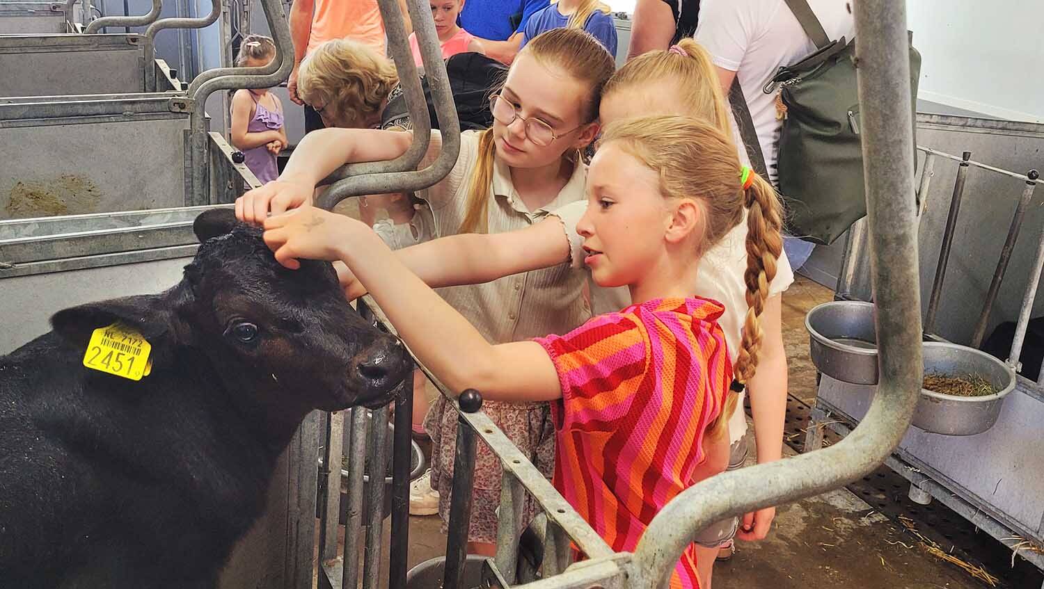 260525 Akkrum Campina boerderijdagen 14 1500