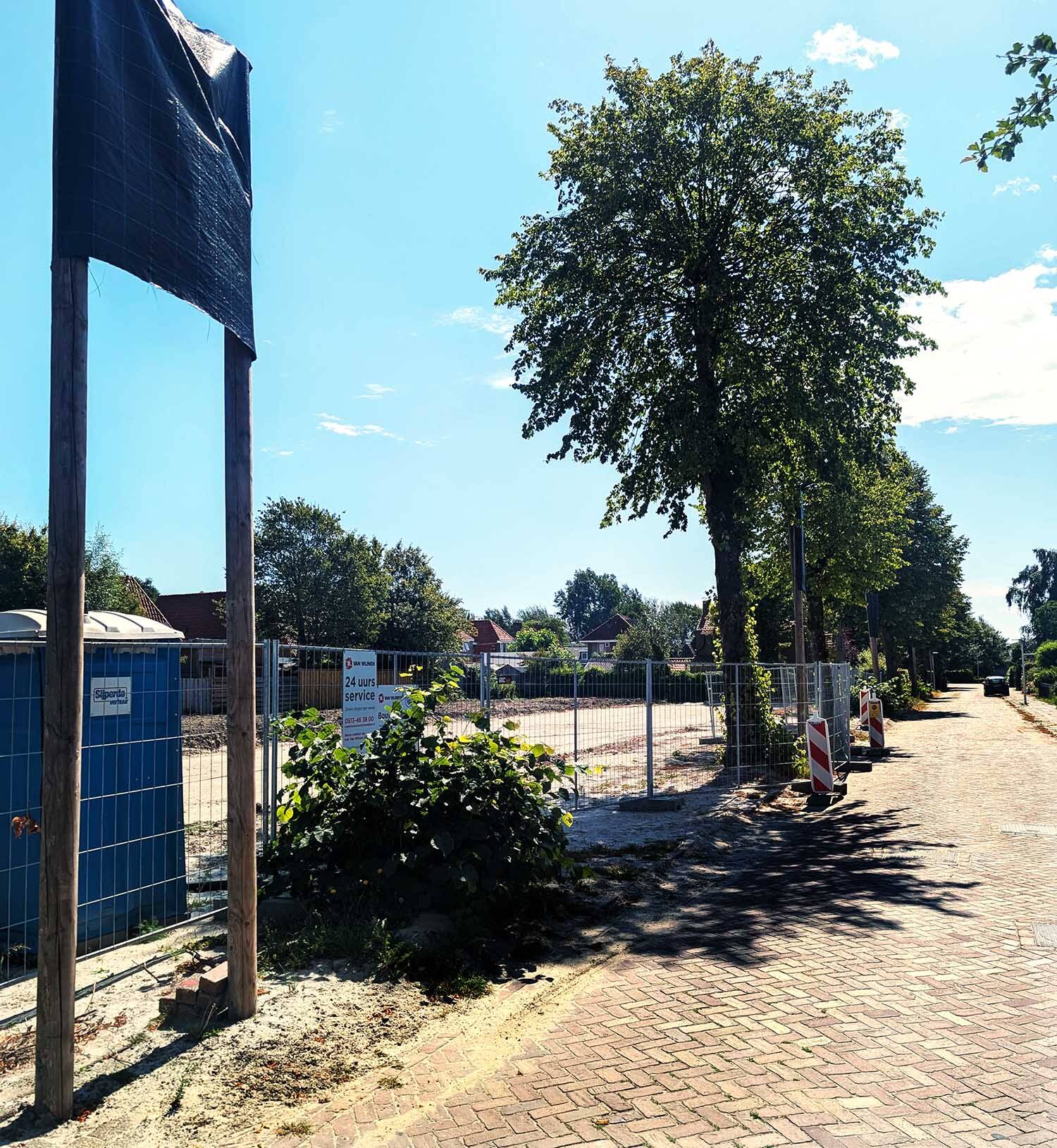 260809 Akkrum LangeMiente bomenkap 2