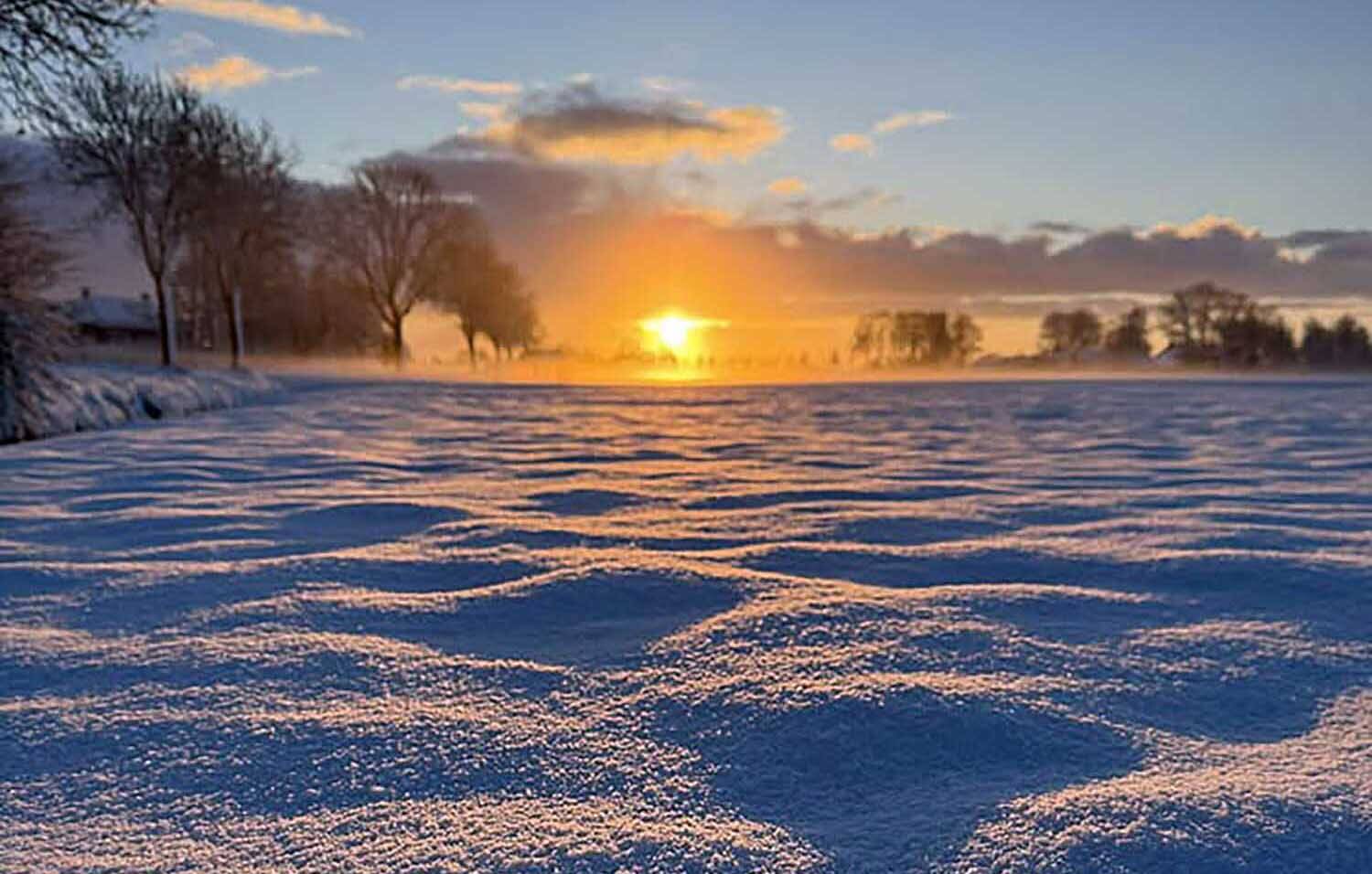 Sneeuwfoto's: dartelende lama's en glijbaan á la Garmisch-Partenkirchen