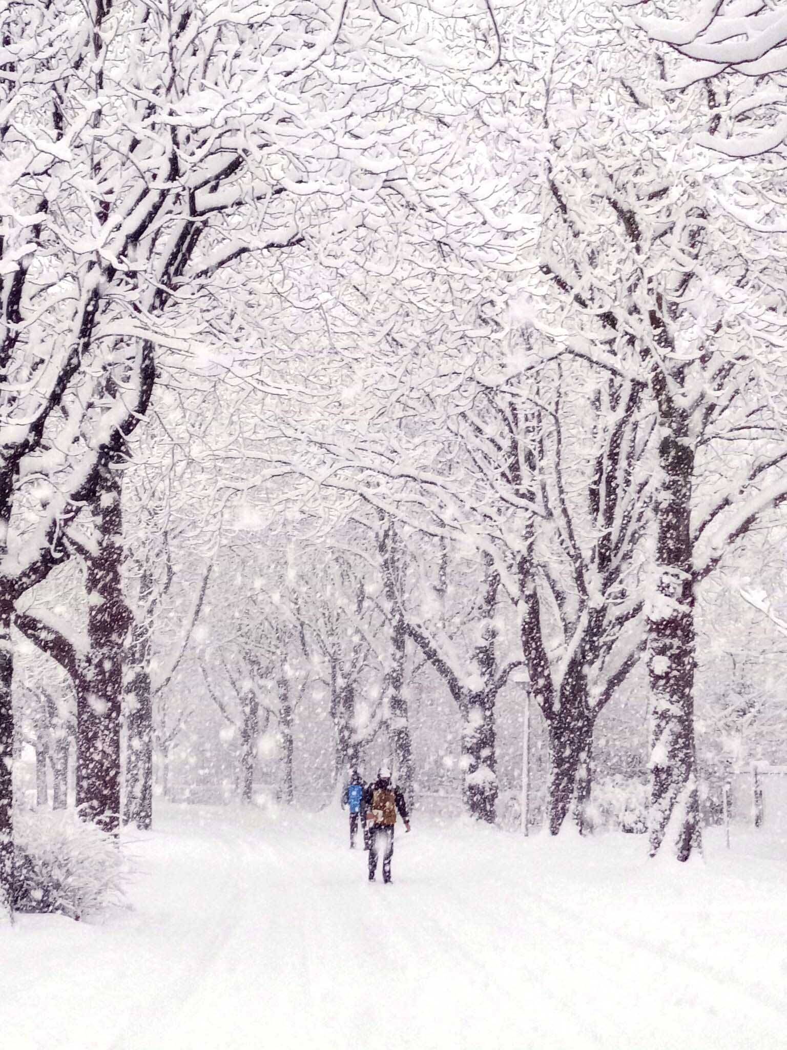260106 Akkrum sneeuw AlisaCoenraadts Nijdam