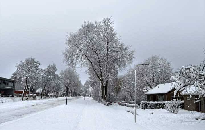 260106 Akkrum sneeuw AnnedeSchiffart