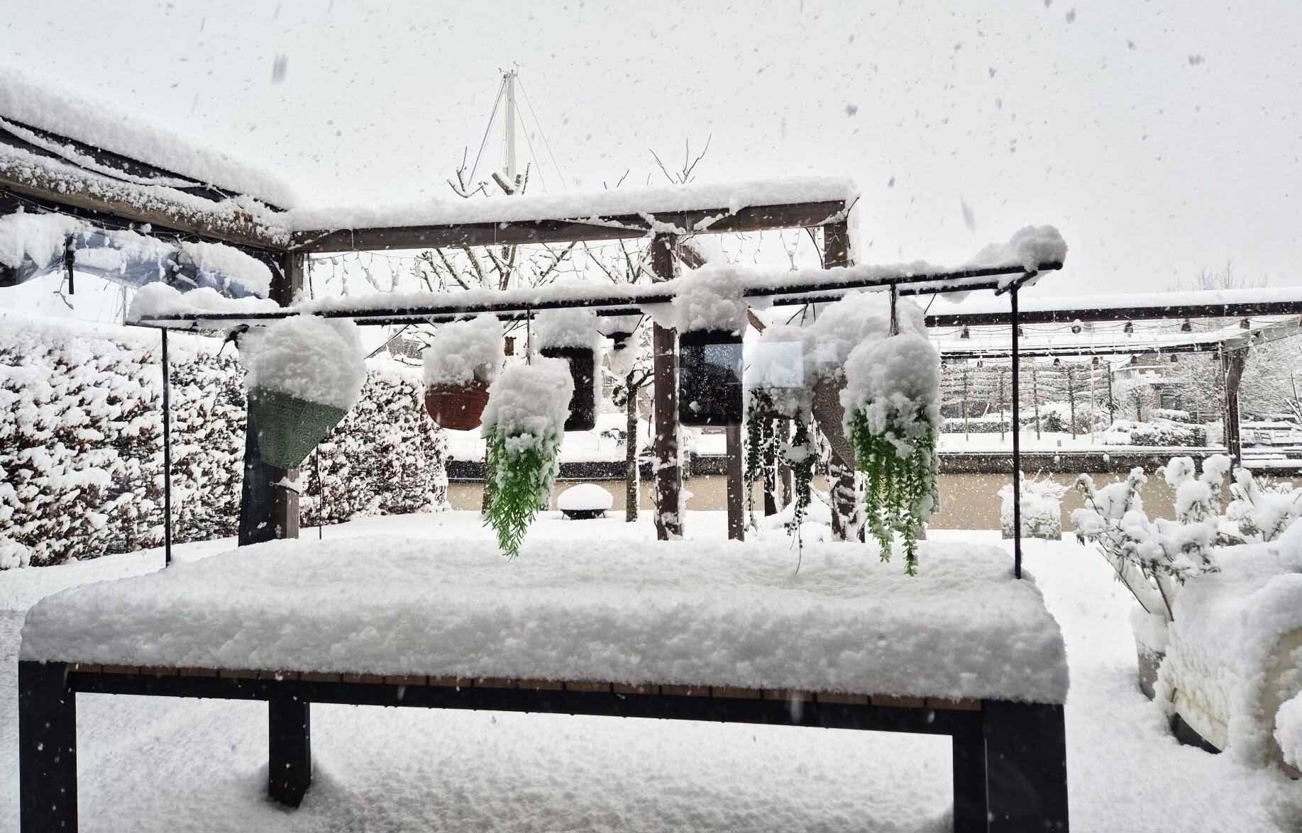 260106 Akkrum sneeuw DesireeCuperus Krol