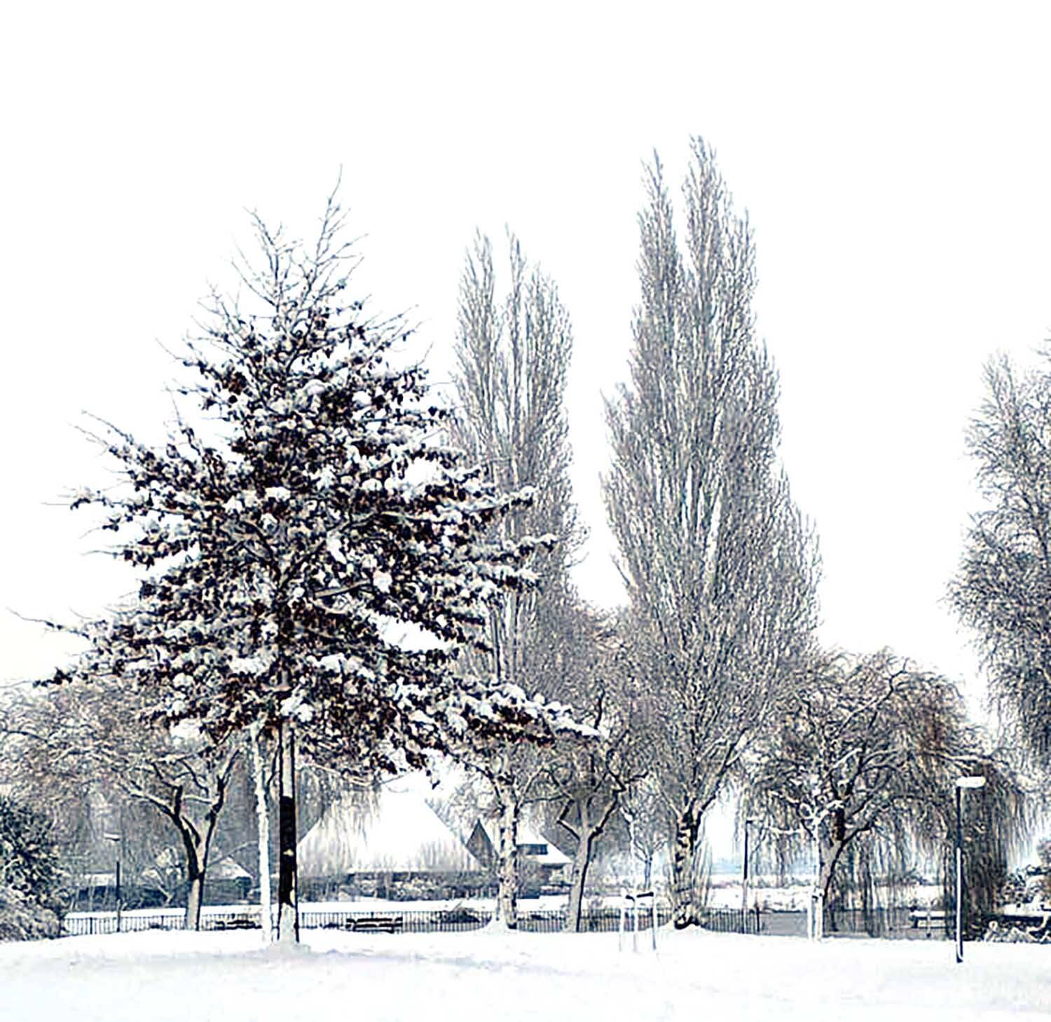 260106 Akkrum sneeuw GrietekeBergsma Wuring