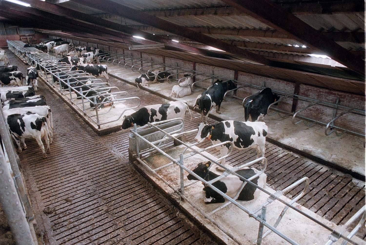 Robotexperts uit Akkrum maken doorstart na faillissement GroeNoord