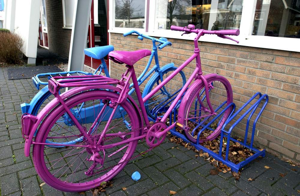 Gezamenlijke fietstocht voor vrouwen langs Friese natuur