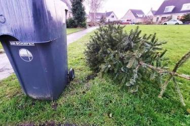 Akkrum-Nes: dinsdag ophalen kerstbomen