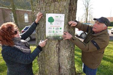 Kastanjebomen Akkrum laten eigen rol in milieu zien