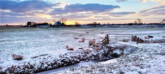 Zon kleurt wit sneeuwlandschap