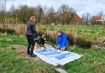 NL Doet: slakkenmuur voor Doarpstún Akkrum-Nes