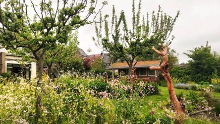 Biologisch tuinieren in de Lantearnetún