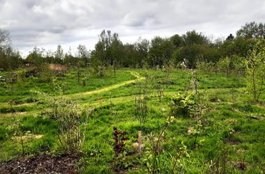 Picknick in Doarpstún Akkrum-Nes