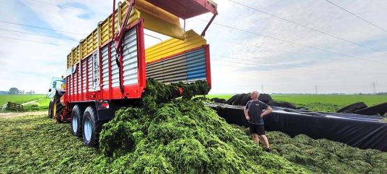 Melkveehouders halen eerste snee gras binnen