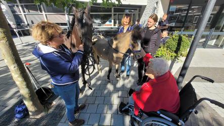 Dertigjarige Welsh-pony ontmoet bijna 87-jarige bekende