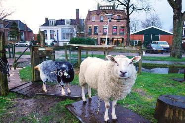 Fondsen dragen bij, dorpsactie voor Dierenweide Akkrum volgt