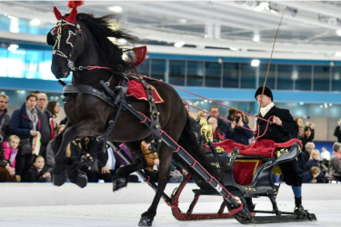 Bauke de Boer uit Nes (H) verdedigt na zes jaar NK-titel 'belslydjeie'