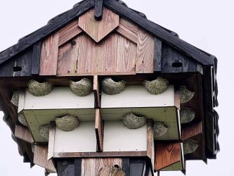 Hylkema’s Pôle Akkrum krijgt zes meter hoge zwaluwentil