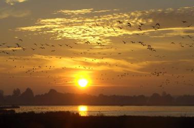 ,,Zowat half Akkrum kwam langs voor een laatste groet''