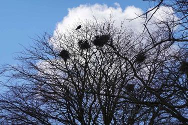 Overlast roeken bij nieuwe zitbank Tsjerkebleek Akkrum