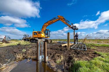 Zomer lang hogere waterpeilen in Akkrumer Goedland