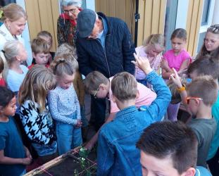 Eerste preiplantje van burgemeester in moestuin Ds. Hasperschool Akkrum