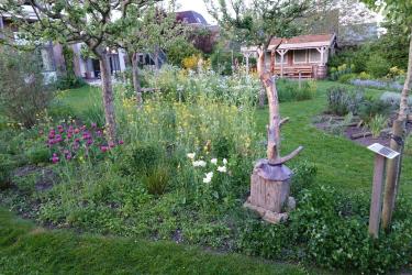 Drie swingende optredens in Lantearnetún Akkrum