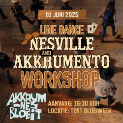 Workshop linedance tijdens Bloeiweek Akkrum