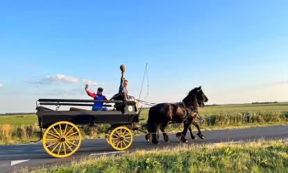 Bloeiweek: Akkrumer Goedland-safari met paard en wagen
