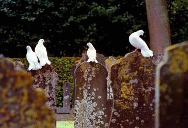 Kranslegging bij oorlogsmonument in Vredesweek Akkrum