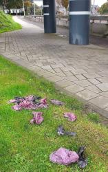 Vijf kilo hondenpoep opgeruimd bij spoortunnel Akkrum