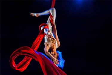 Circus niet met Kerst, maar in mei 2026 naar Akkrum-Nes