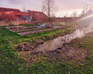 De Groene Vingers laten Akkrum-Nes bloeien tijdens Bloeiweek