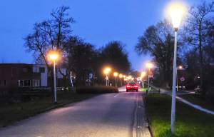 Opknapbeurt bomenrij Feansterdyk: zieke bomen weg, meer groen terug