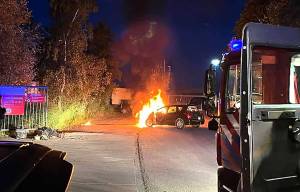 Bestuurder parkeert auto; voertuig vliegt in brand